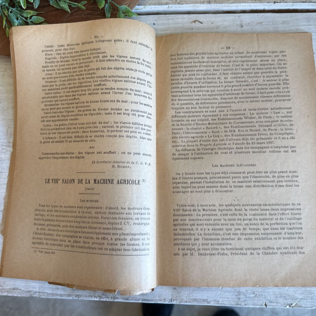 FRENCH AGRICULTURAL JOURNAL, "LE PROGRES AGRICOLE ET VITICOLE"