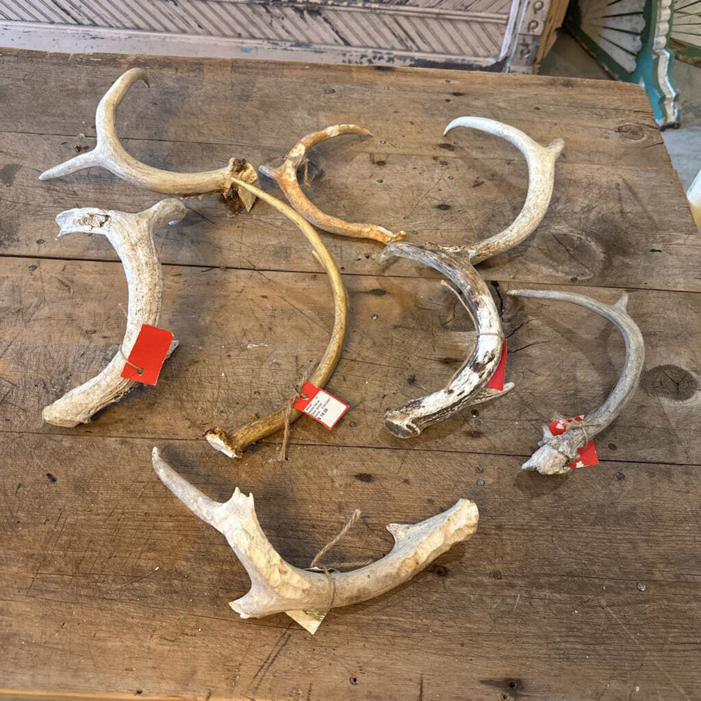 ANTLERS