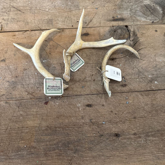 ANTLERS