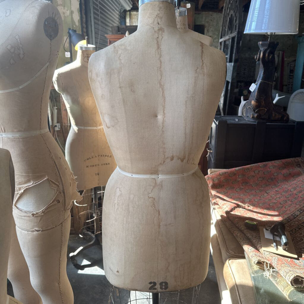 DRESS FORMS