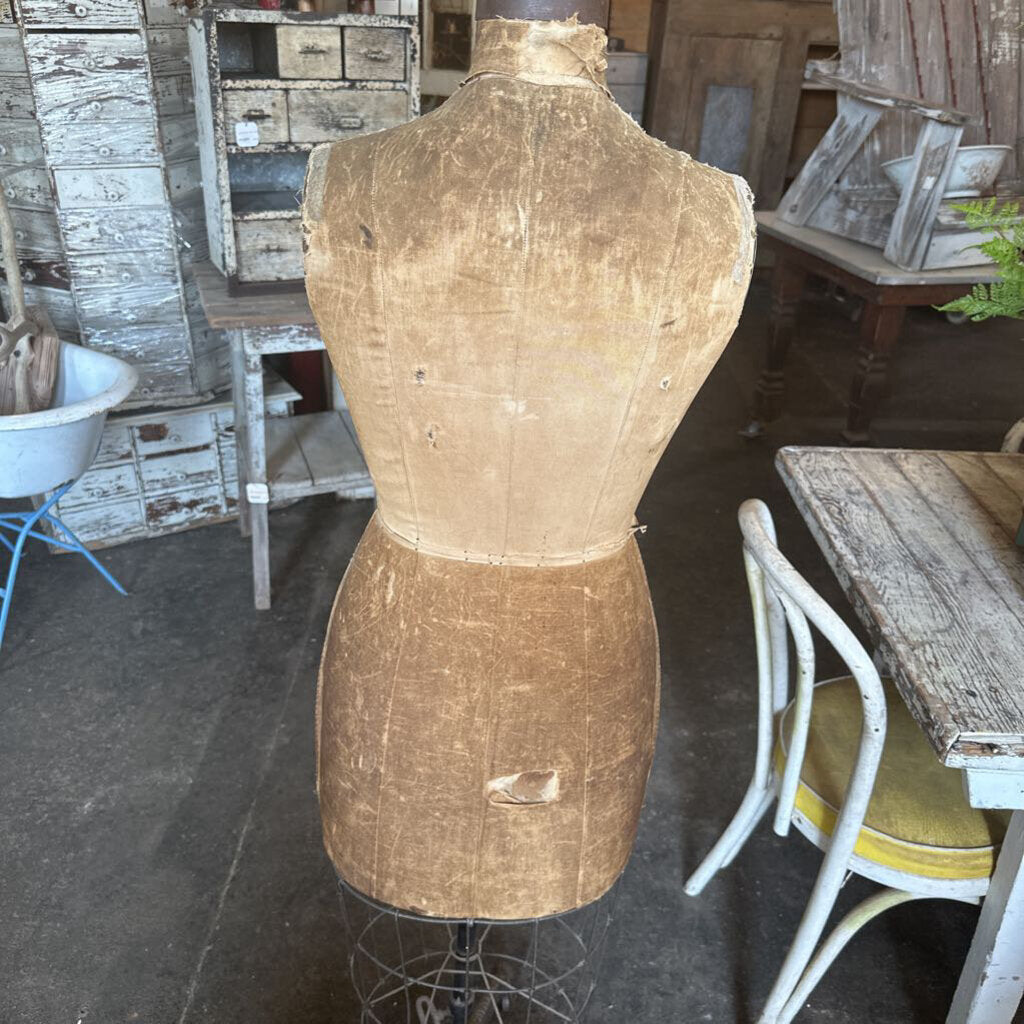 DRESS FORMS