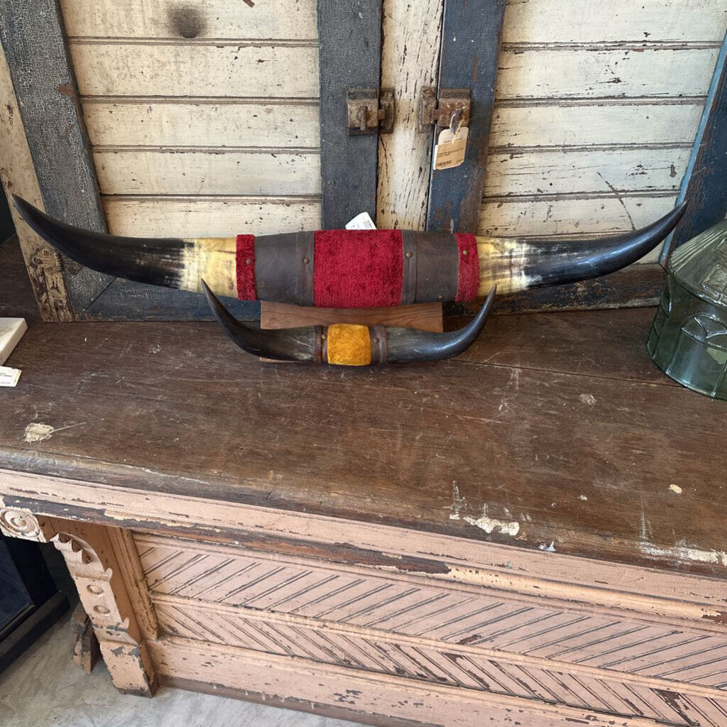 LONGHORN SET