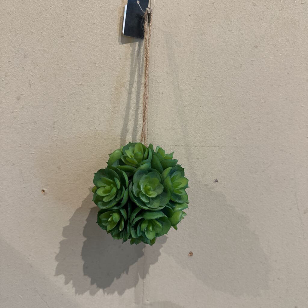 HANGING SUCCULENT BALL