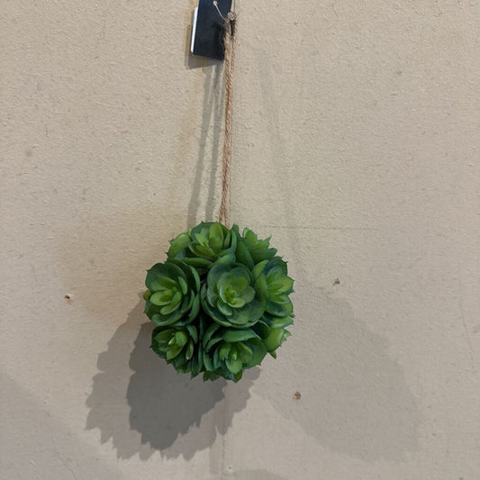 HANGING SUCCULENT BALL