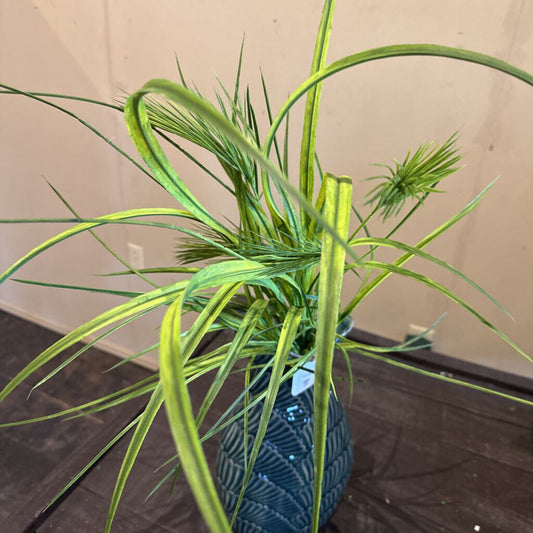 GOLDEN SWEET FLAG STEM
