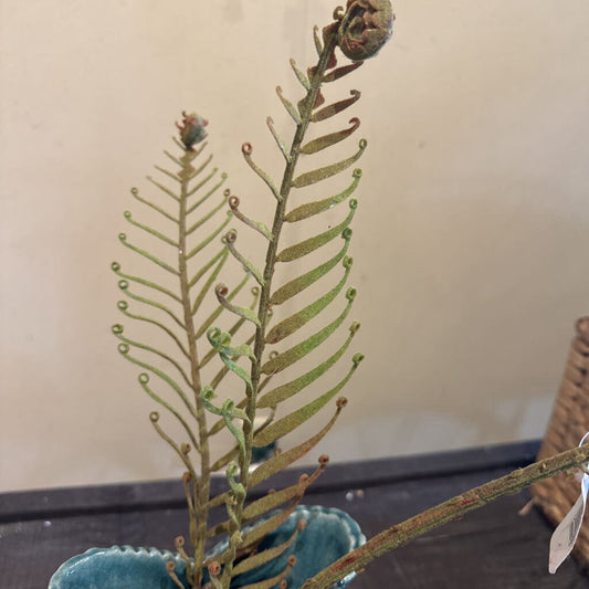 SILVER LADY FERN STEM