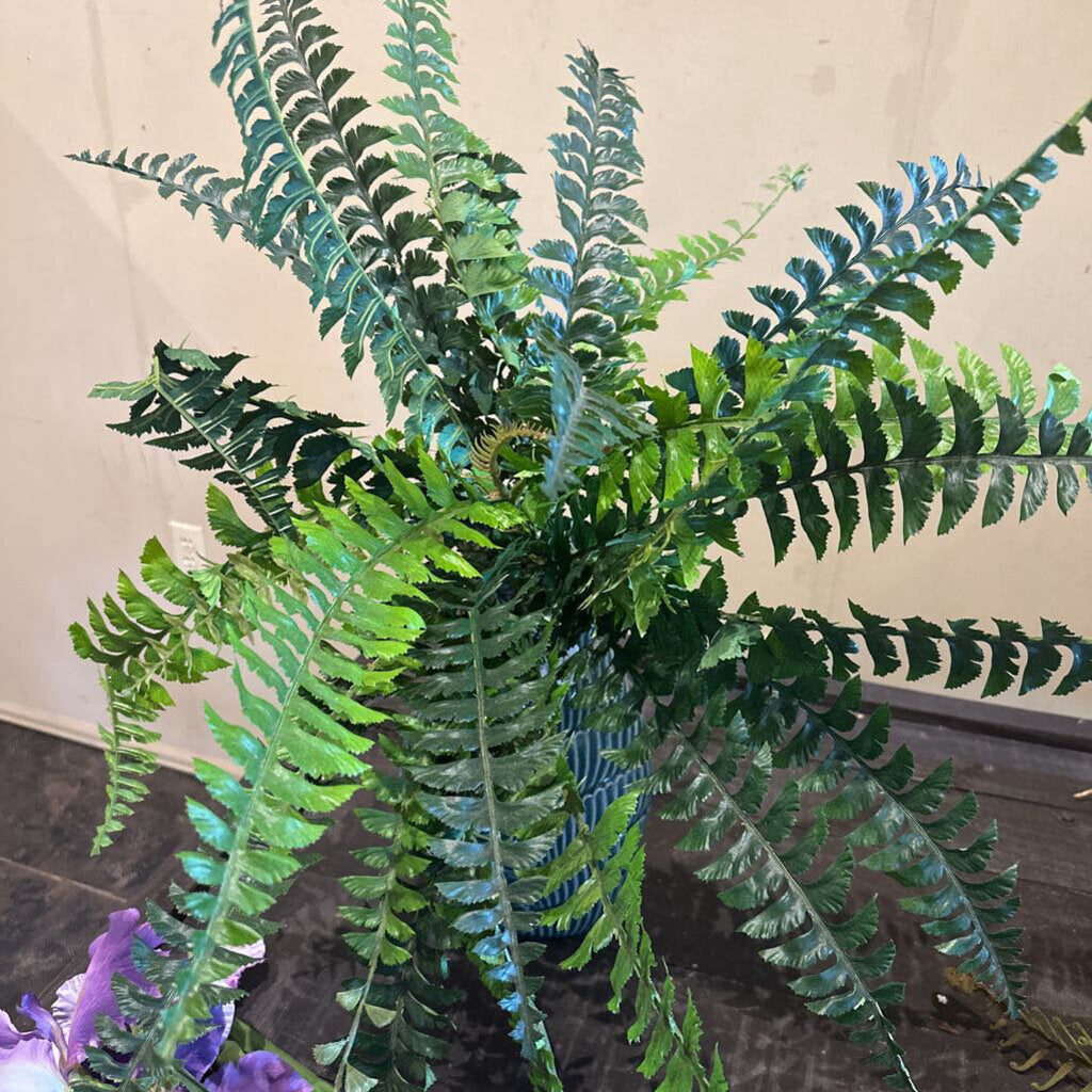 FERN SPRAY
