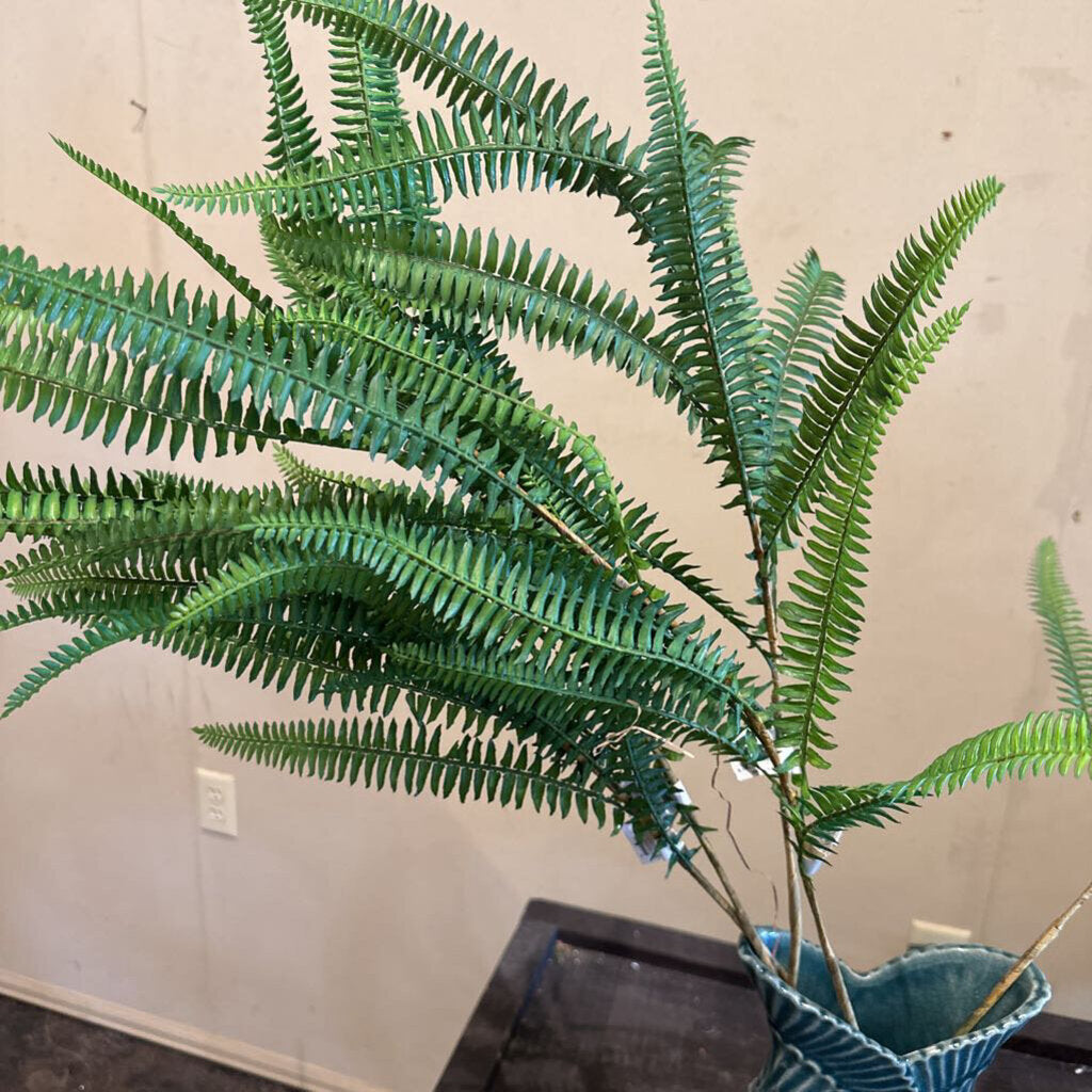 FERN STEM