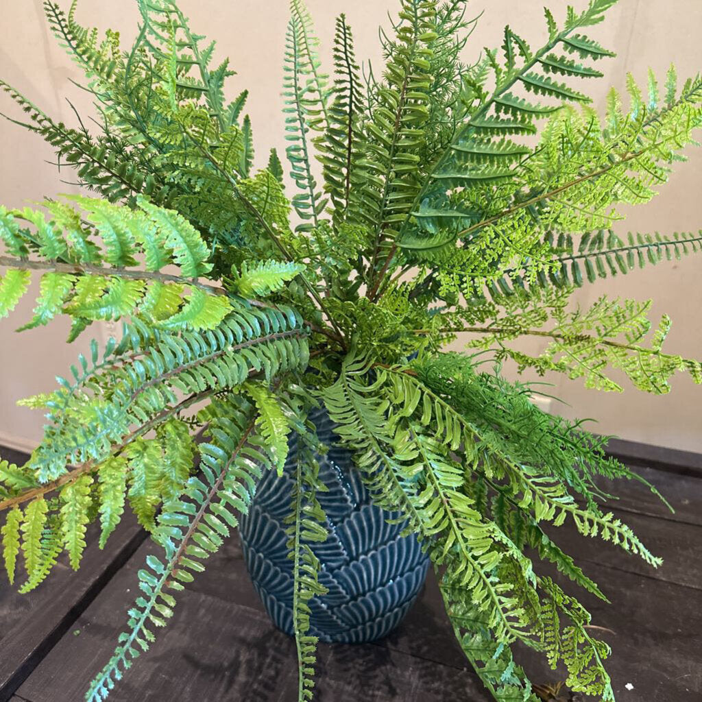 FERN STEM