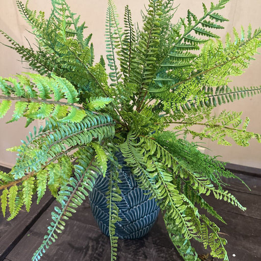 FERN STEM