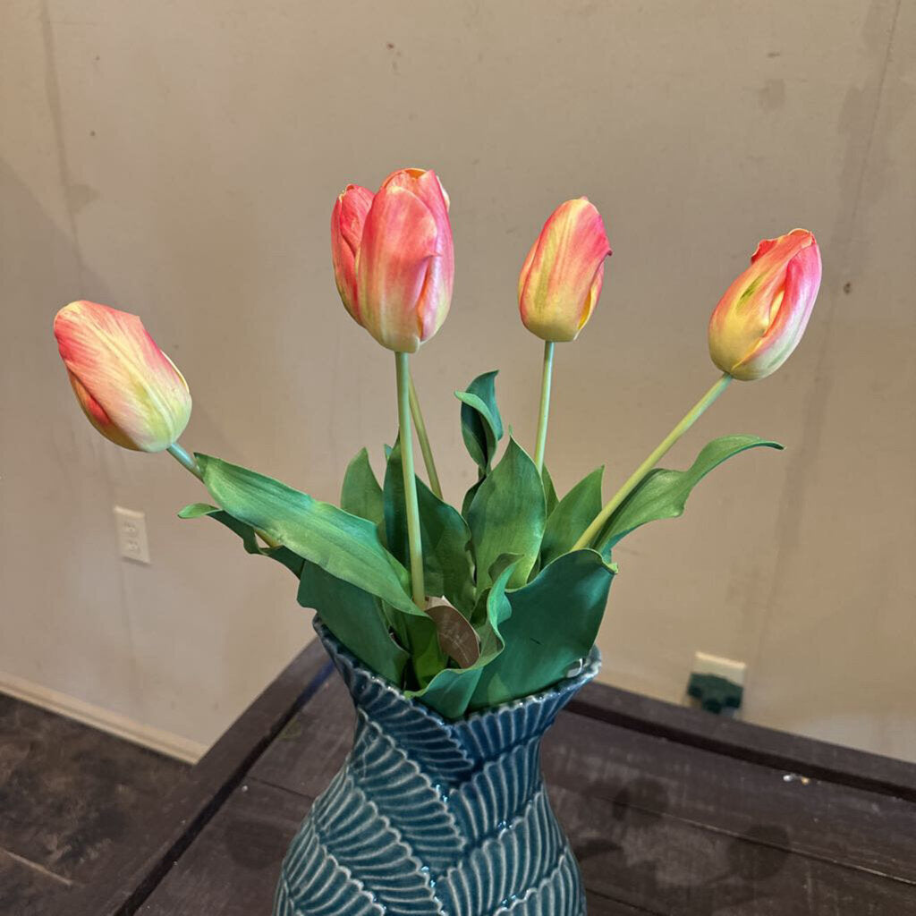 DUTCH TULIP