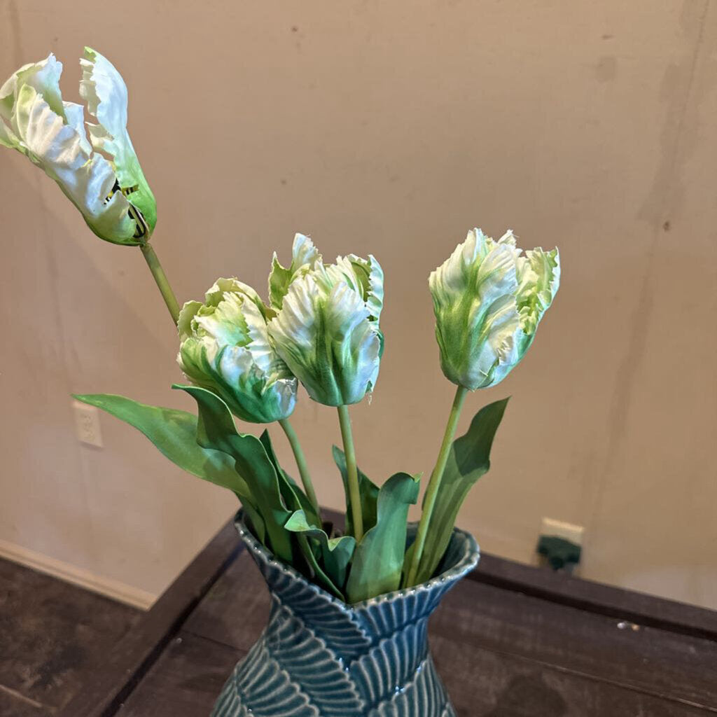 PARROT TULIP