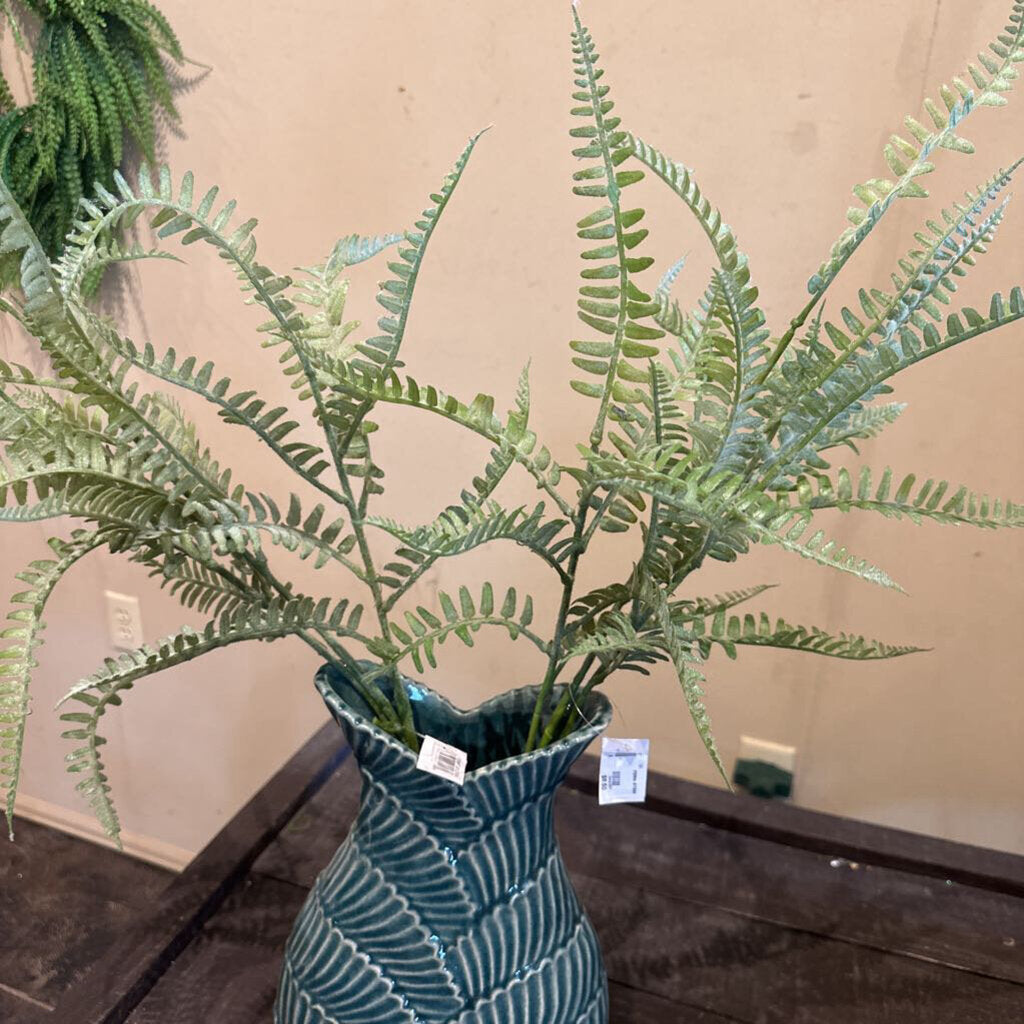 FERN STEM