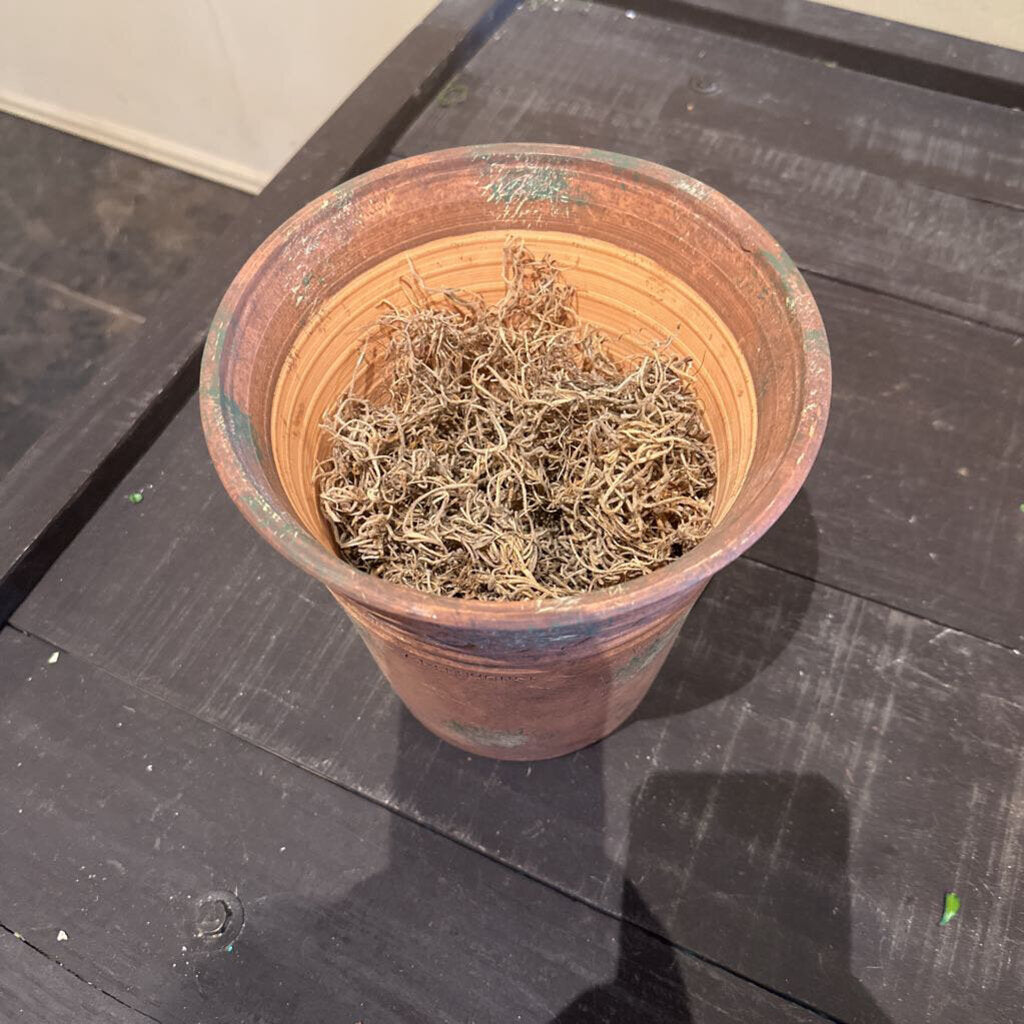 TERRA COTTA POT