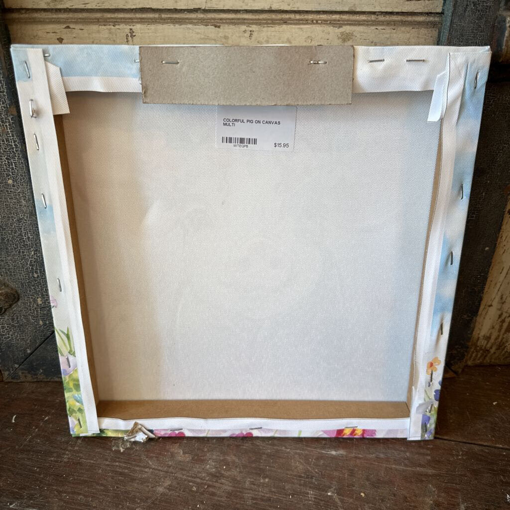 COLORFUL PIG ON CANVAS