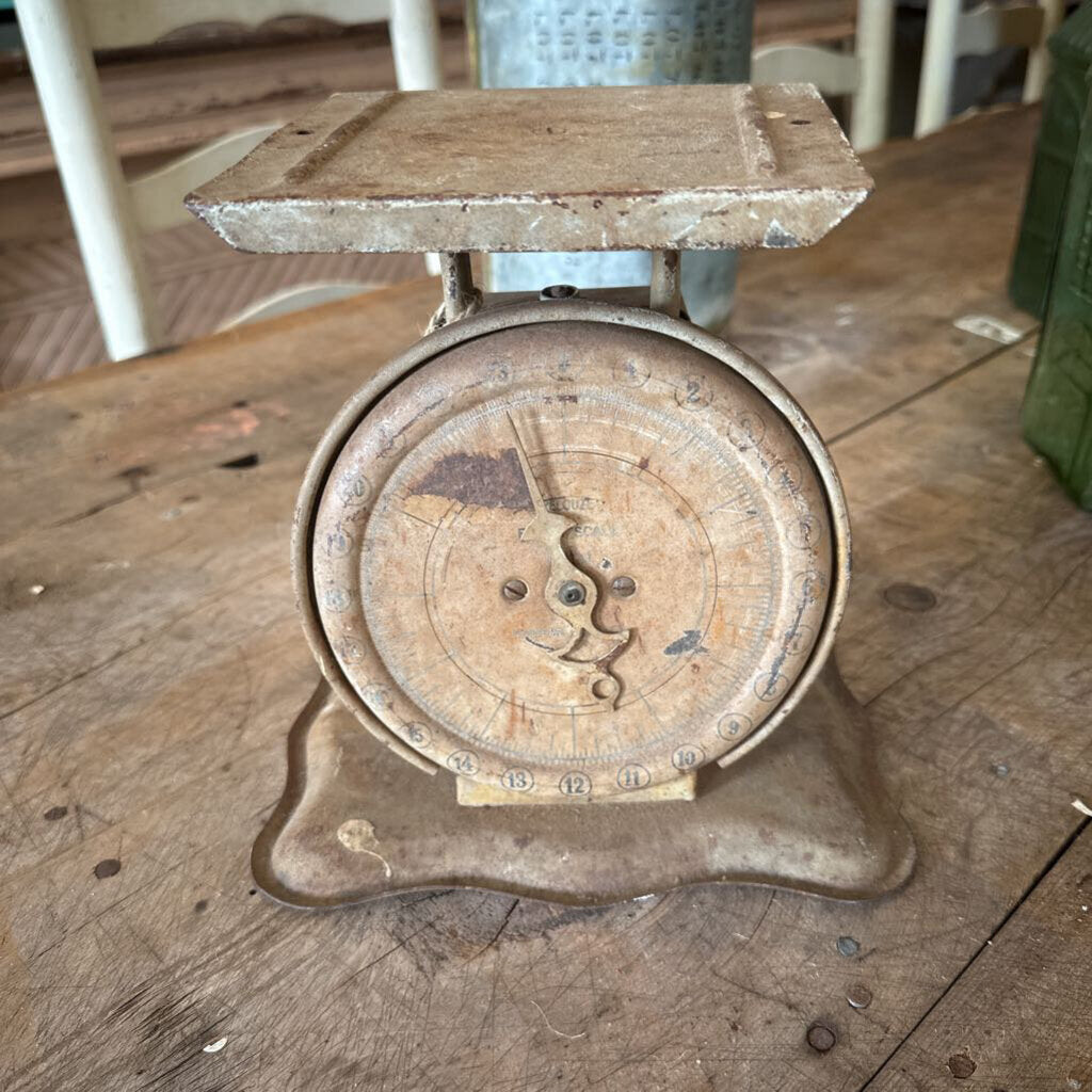 SCALE