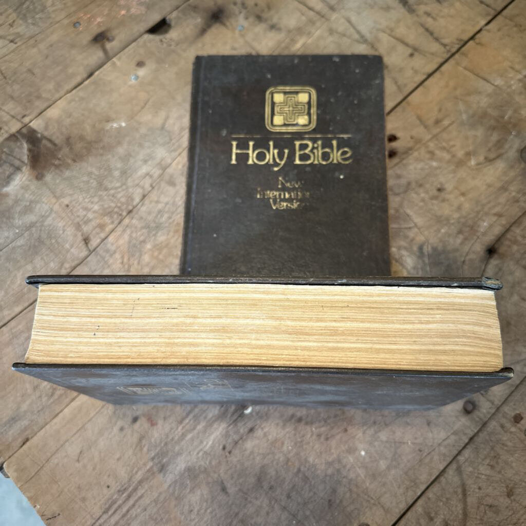 NEW INTERNATIONAL VERSION HOLY BIBLE