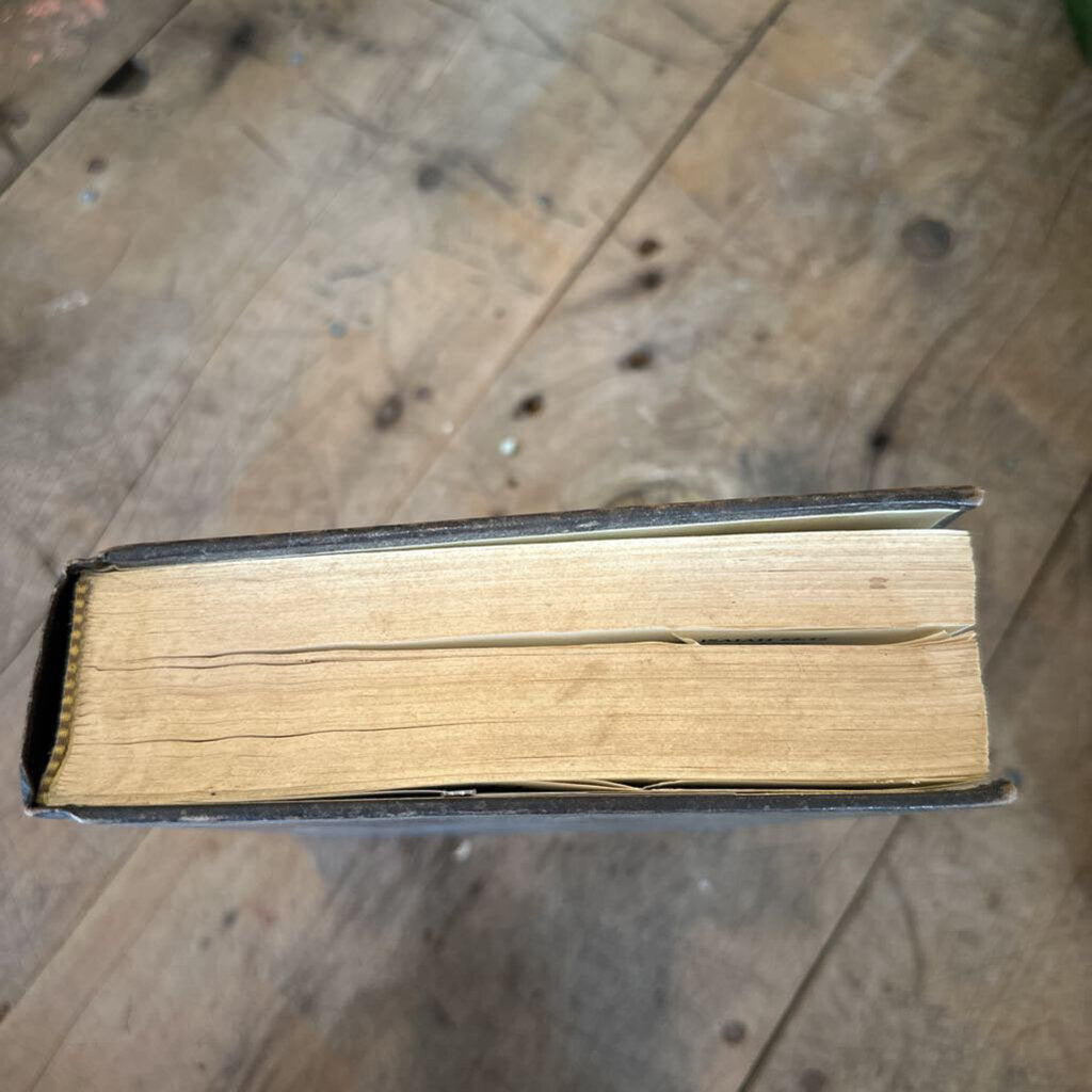 NEW INTERNATIONAL VERSION HOLY BIBLE