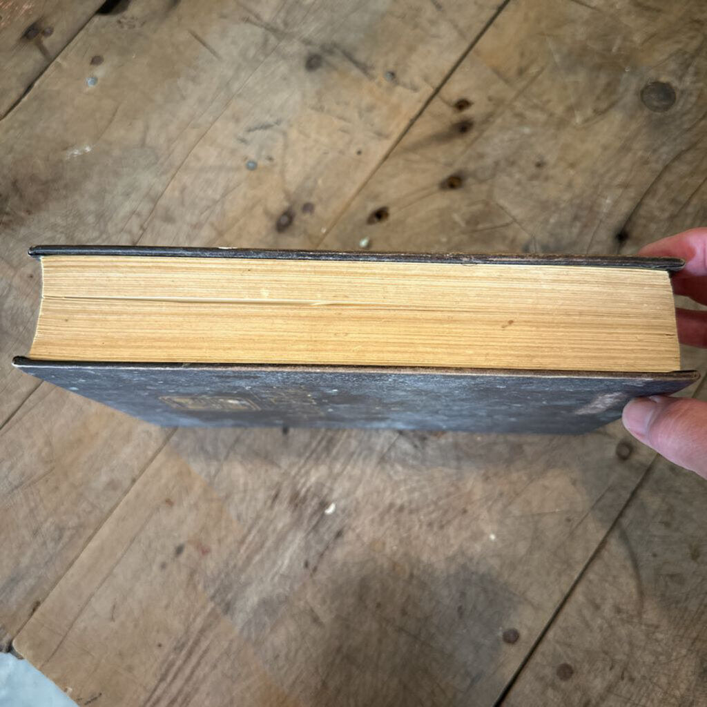 NEW INTERNATIONAL VERSION HOLY BIBLE