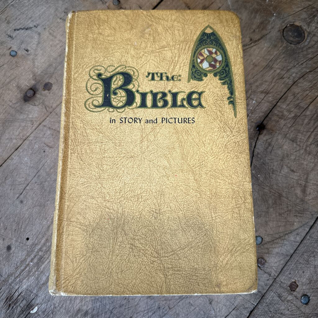 THE BIBLE IN STORY AND PICTURES, NEW TESTAMENT