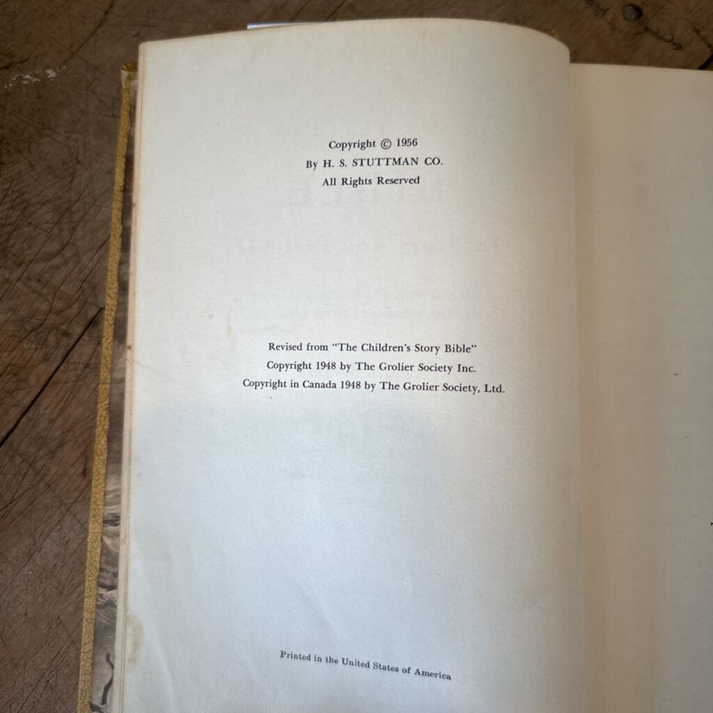 THE BIBLE IN STORY AND PICTURES, NEW TESTAMENT