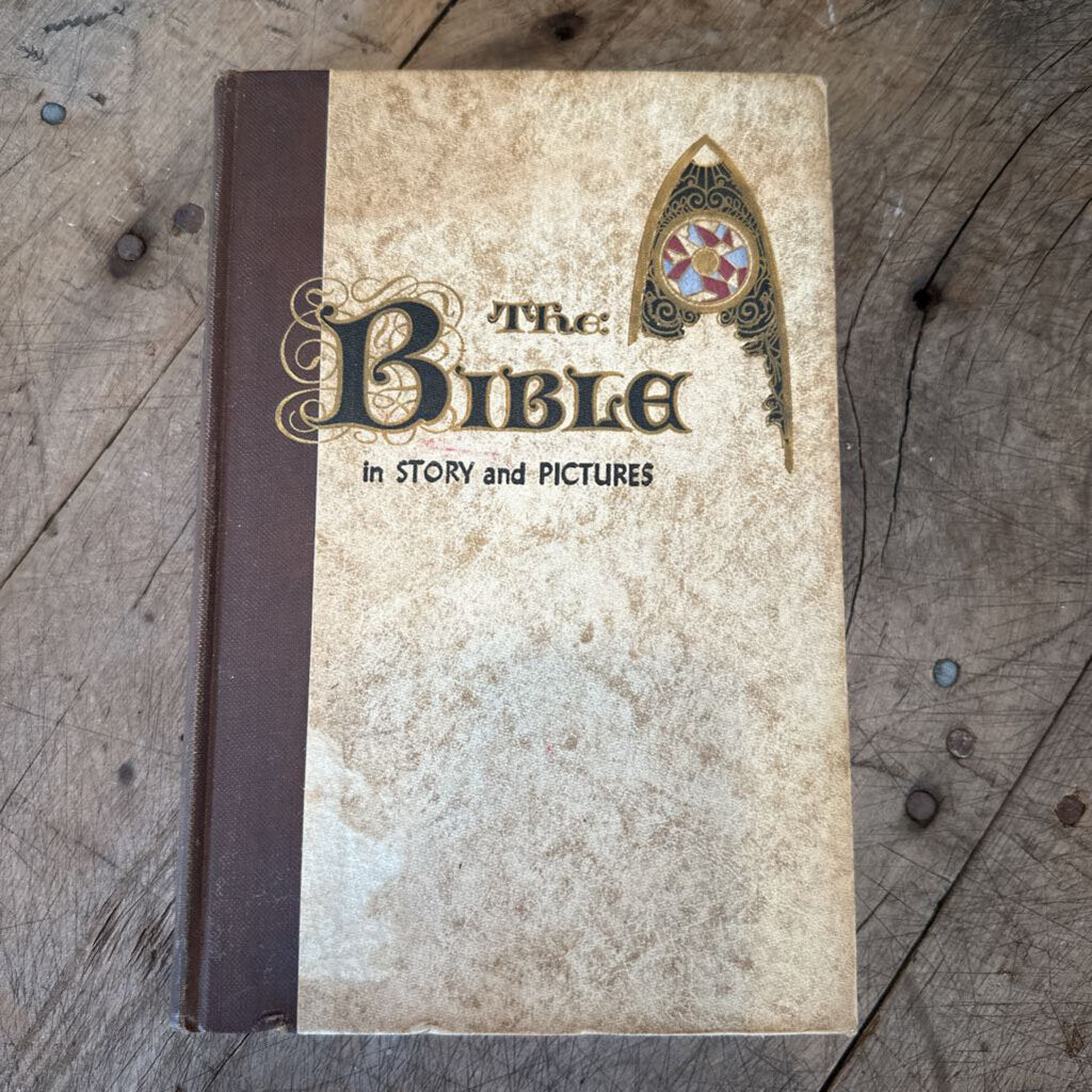 THE BIBLE IN STORY AND PICTURES, NEW TESTAMENT