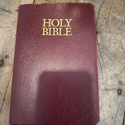 NEW INTERNATIONAL VERSION HOLY BIBLE