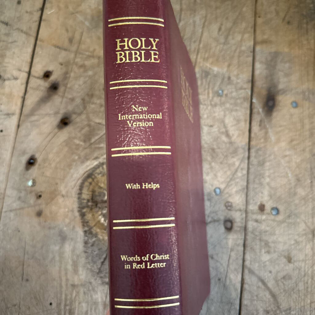 NEW INTERNATIONAL VERSION HOLY BIBLE