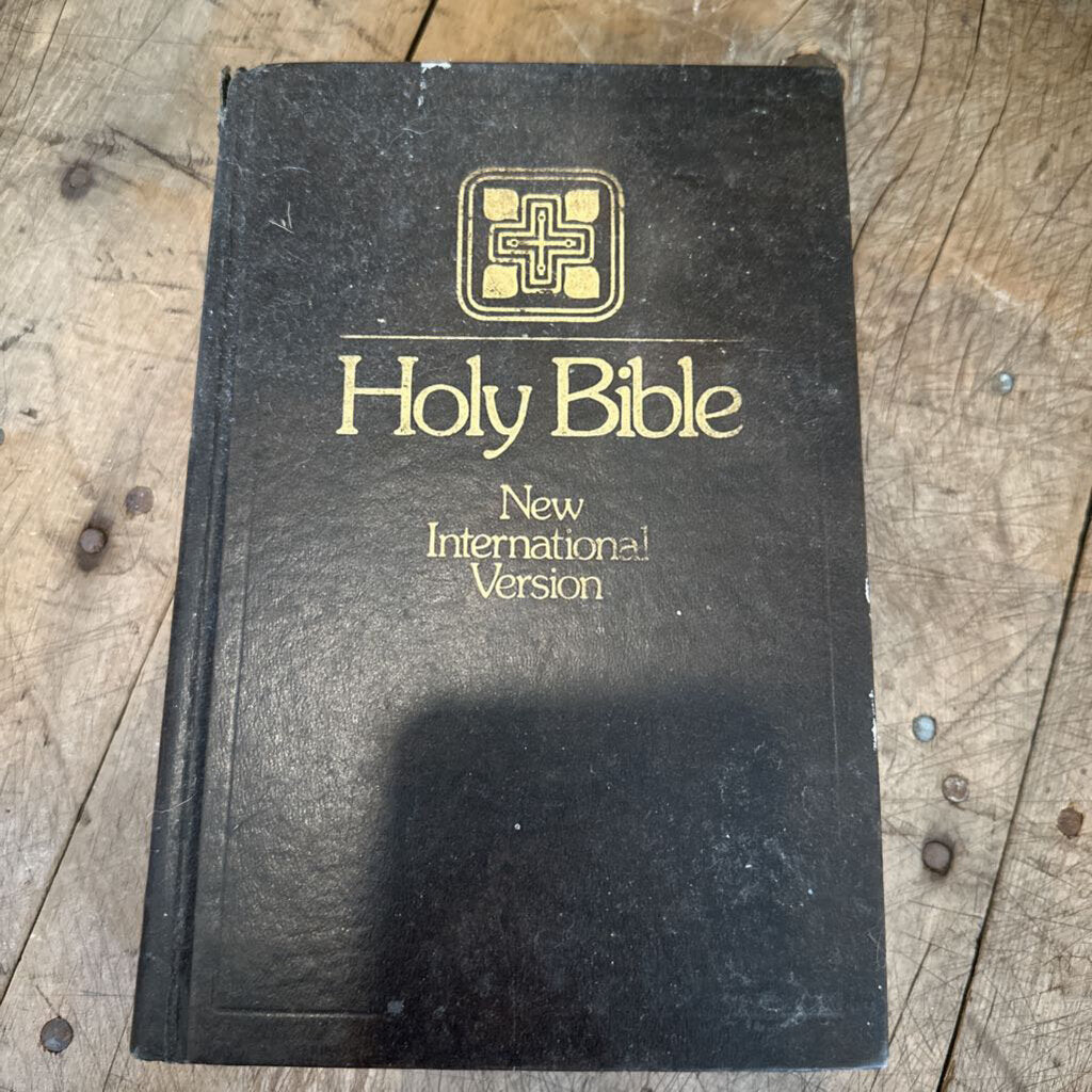 NEW INTERNATIONAL VERSION HOLY BIBLE