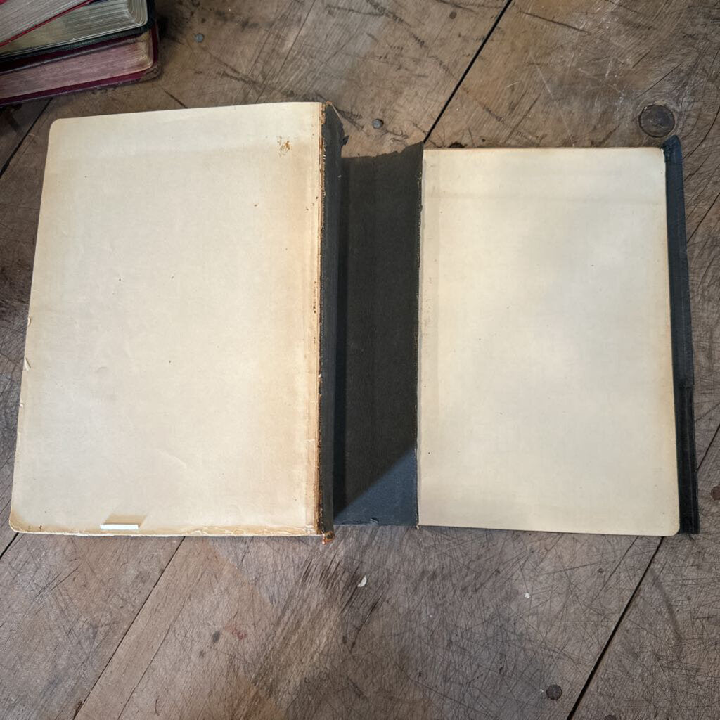 THE GOOD SAMARITAN HOLY BIBLE