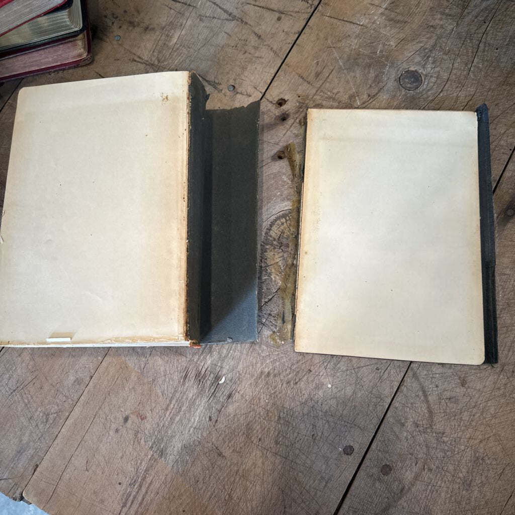 THE GOOD SAMARITAN HOLY BIBLE