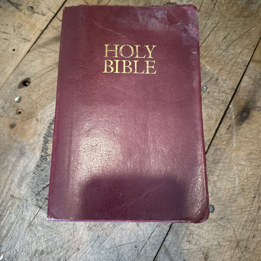 NEW INTERNATIONAL VERSION HOLY BIBLE