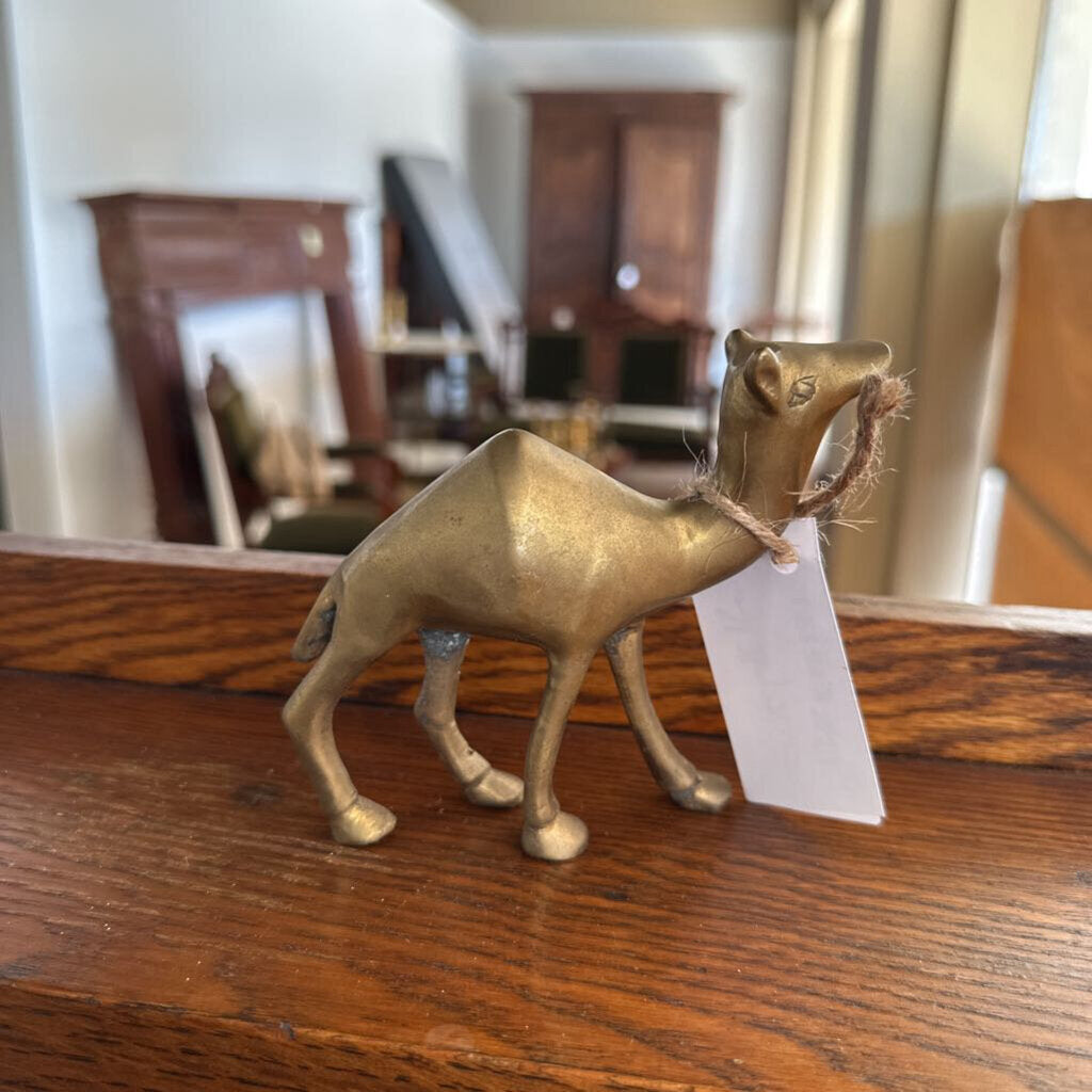 BRASS CAMEL