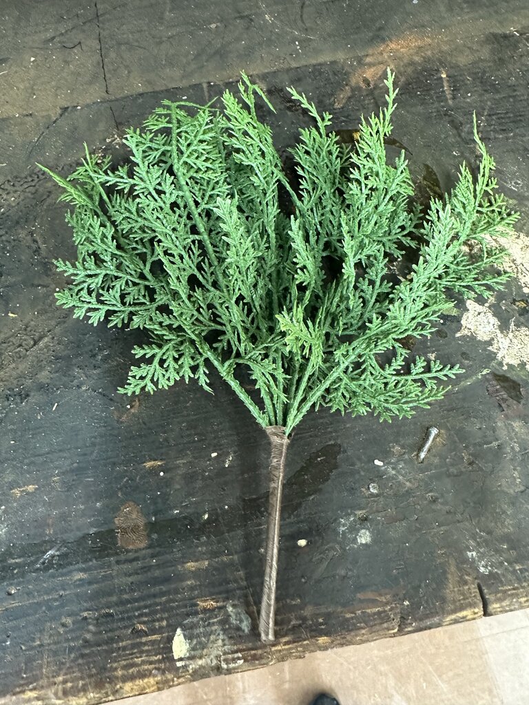 CEDAR PICK
