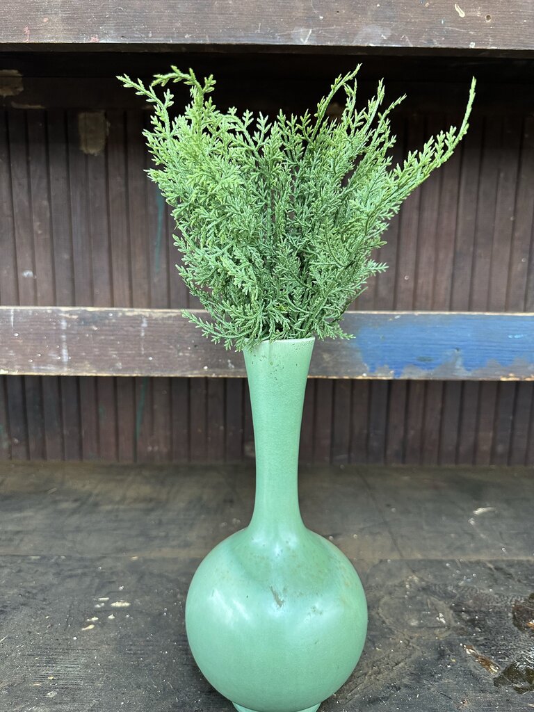 CEDAR PICK