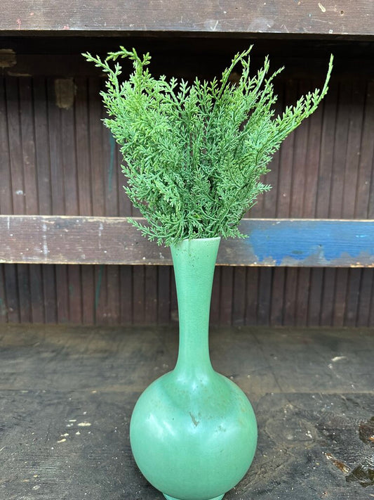 CEDAR PICK