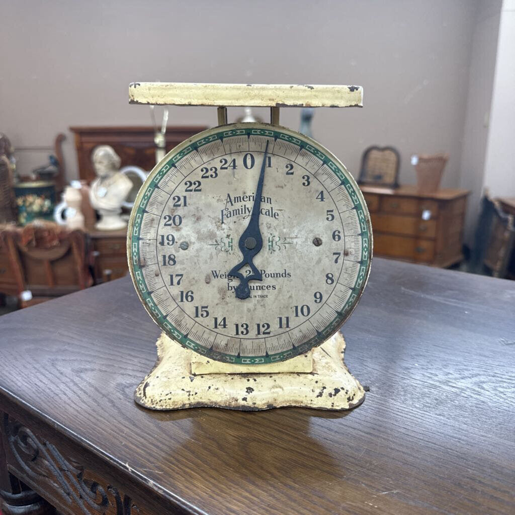 AMERICAN FAMILY SCALE
