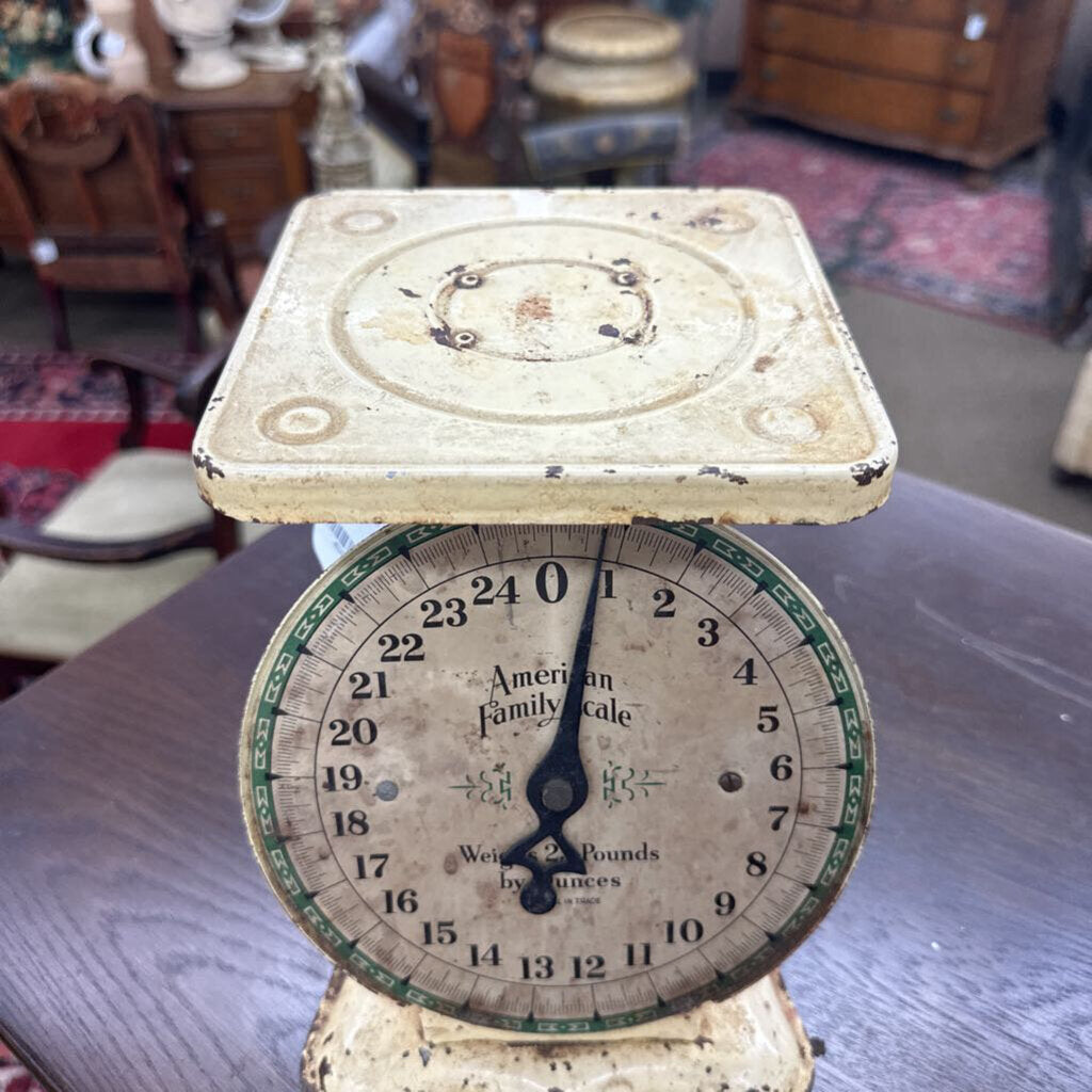 AMERICAN FAMILY SCALE