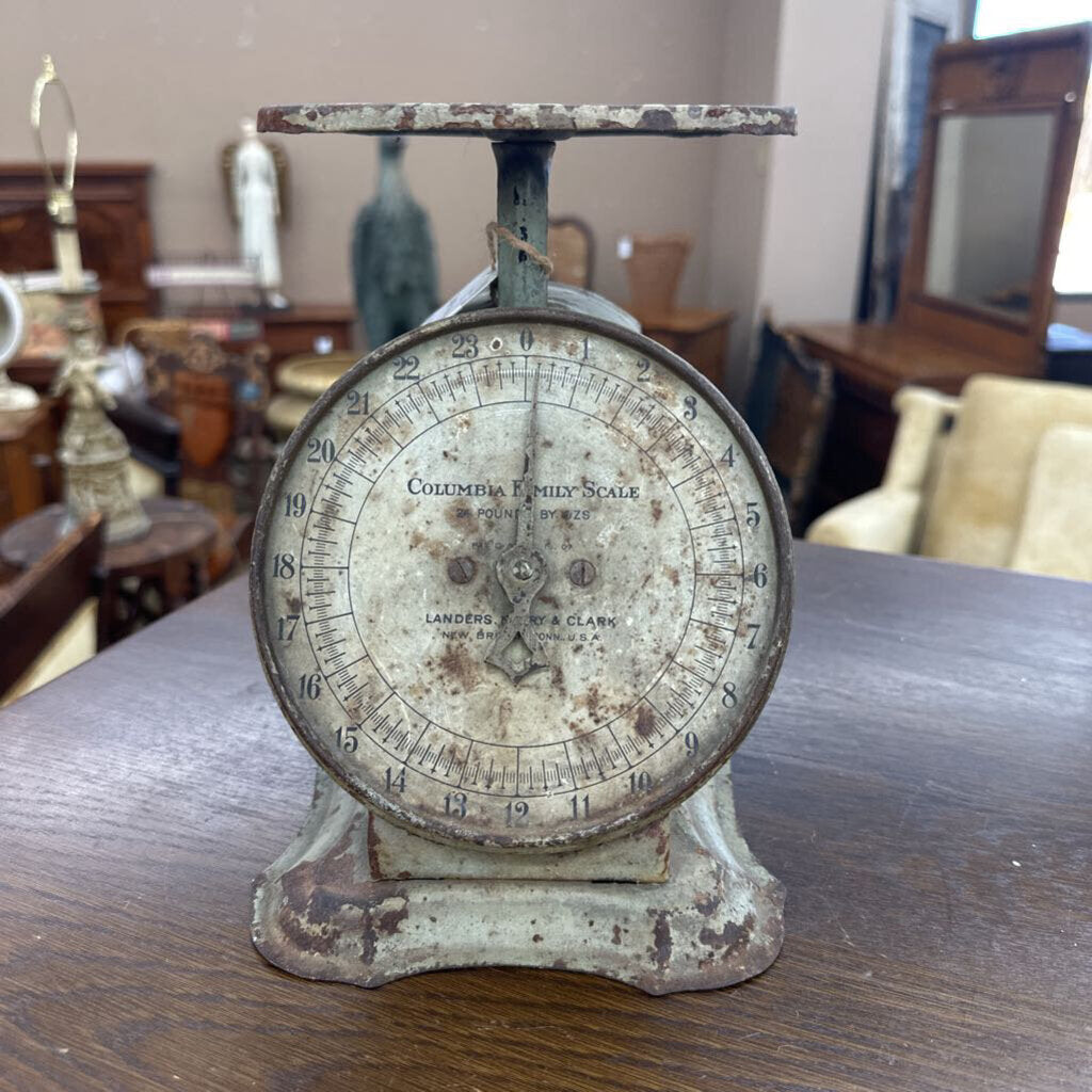 COLUMBIA FAMILY SCALE