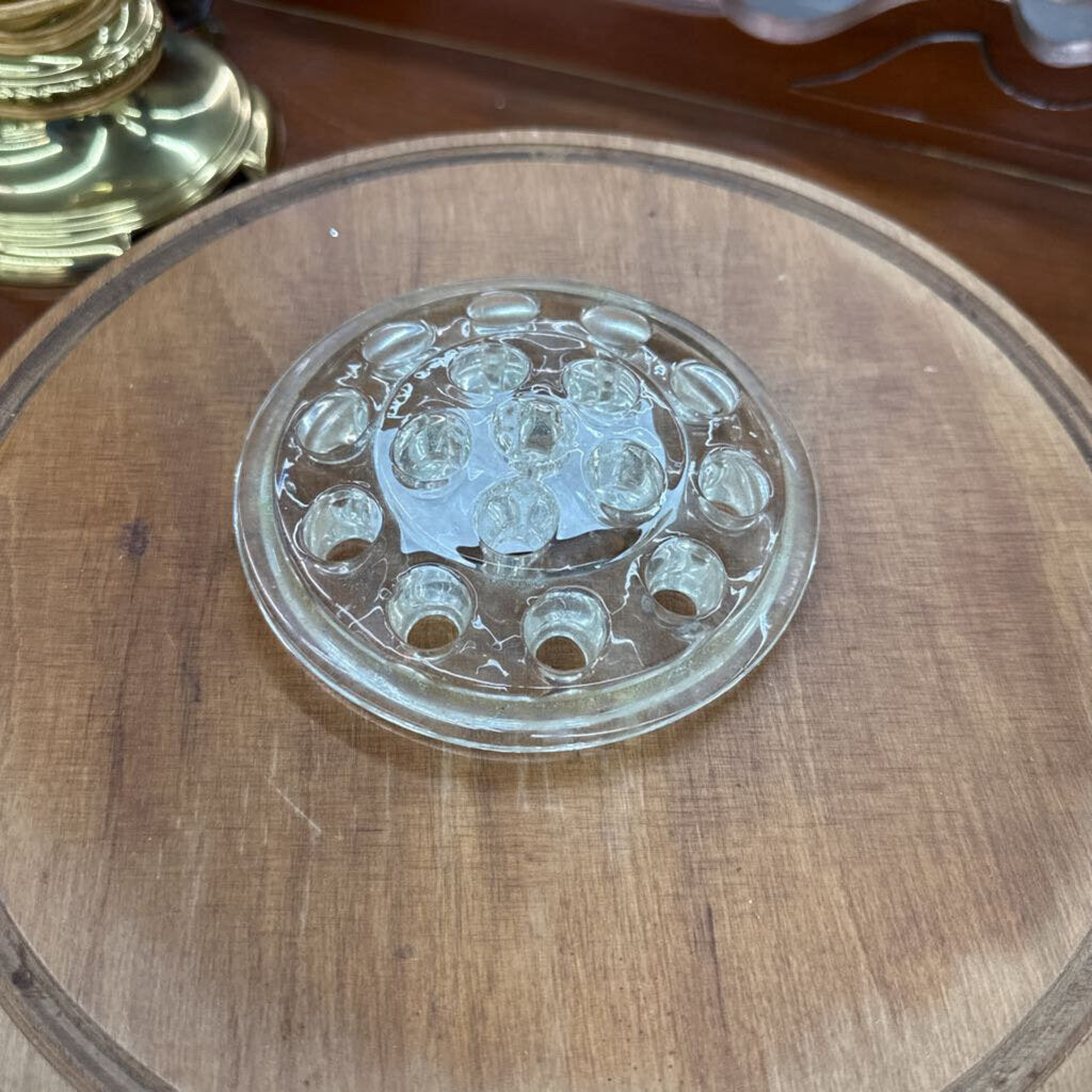 GLASS FLOWER FROG