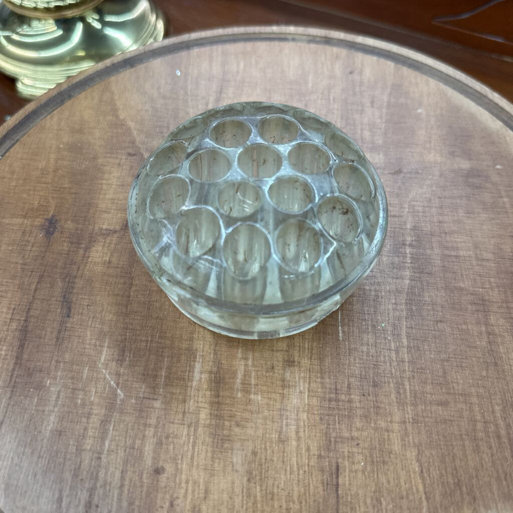GLASS FLOWER FROG