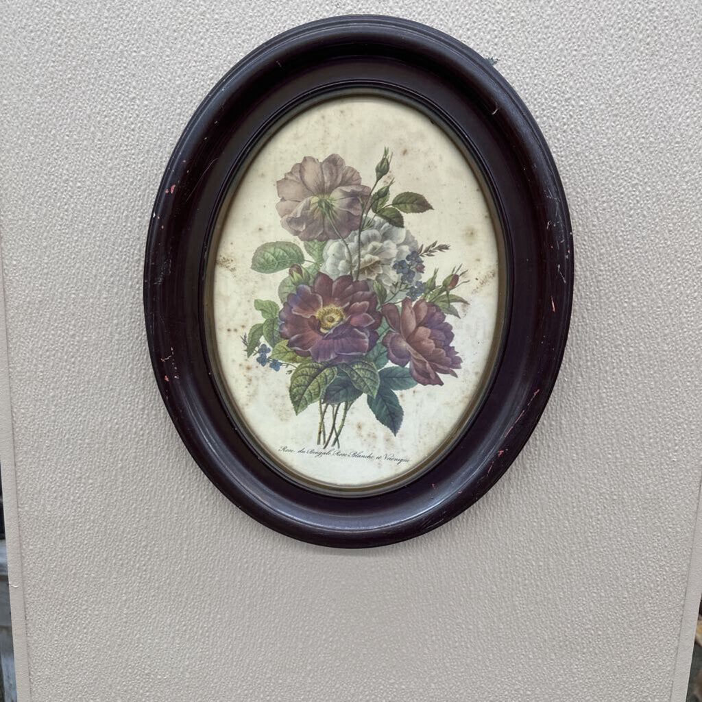 VINTAGE "ROSE DU BENGALE" FRAMED PRINT