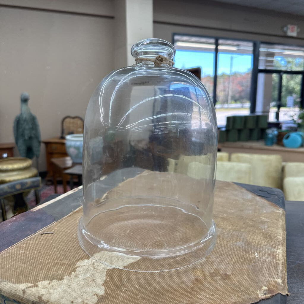 GLASS CLOCHE