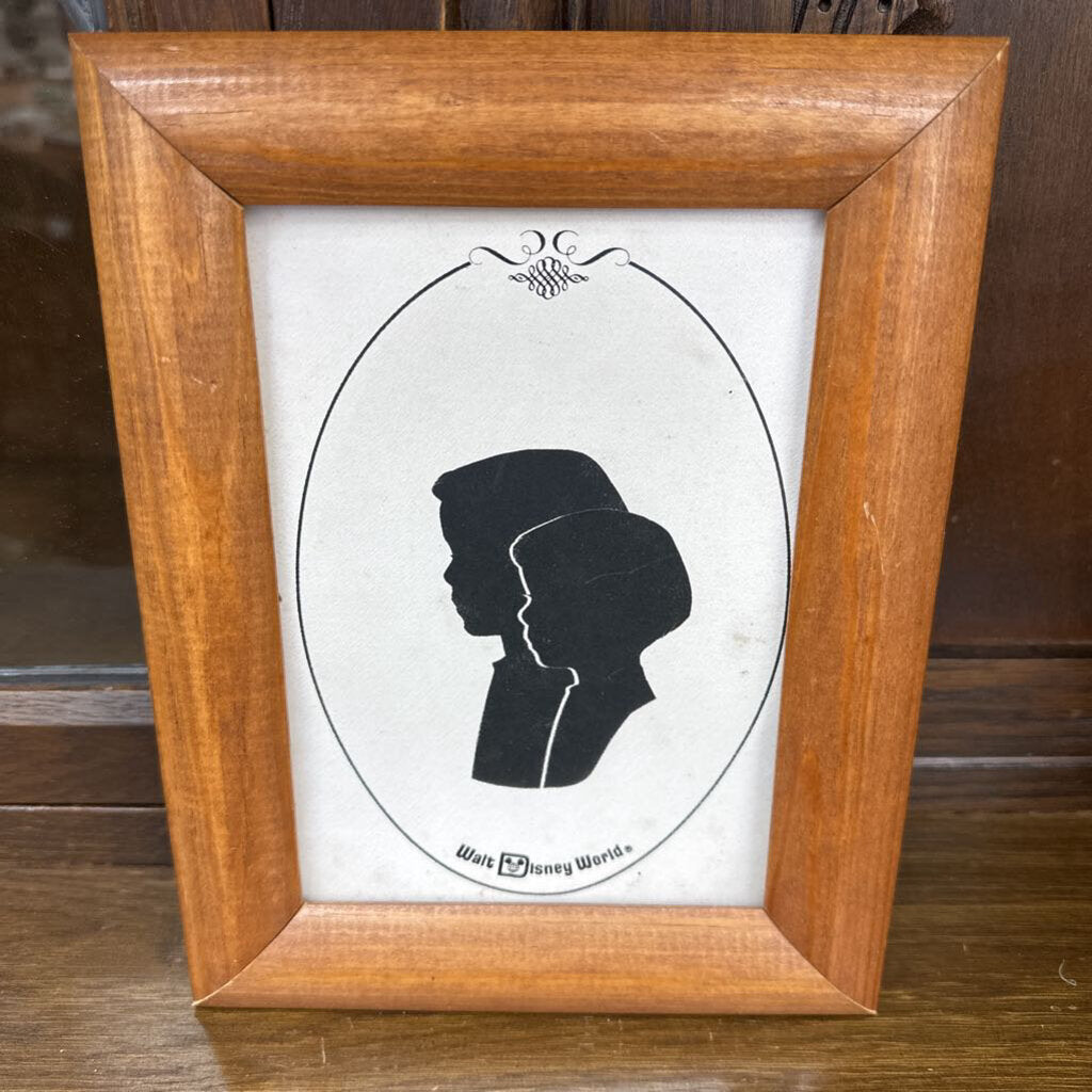 SILHOUETTE FROM WALT DISNEY WORLD