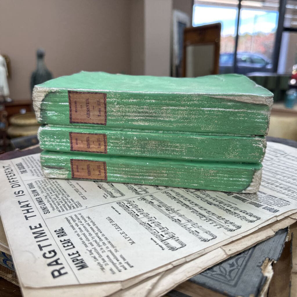 BOOK-SHAPED STORAGE BOX