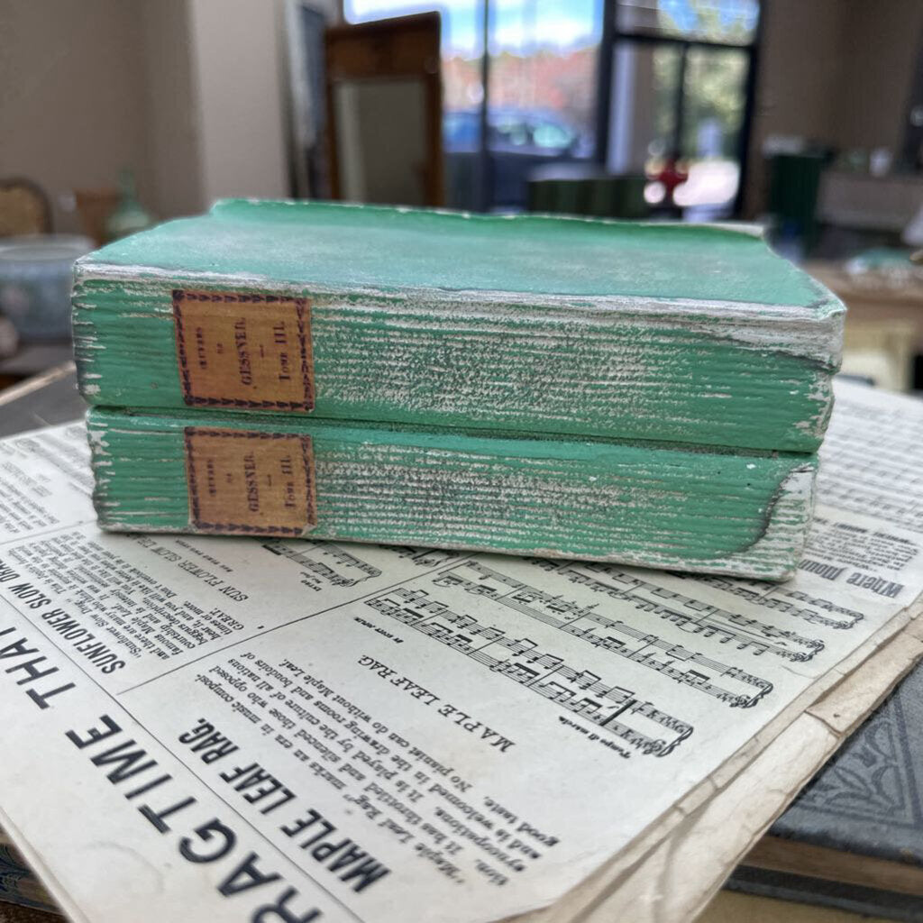 BOOK-SHAPED STORAGE BOX