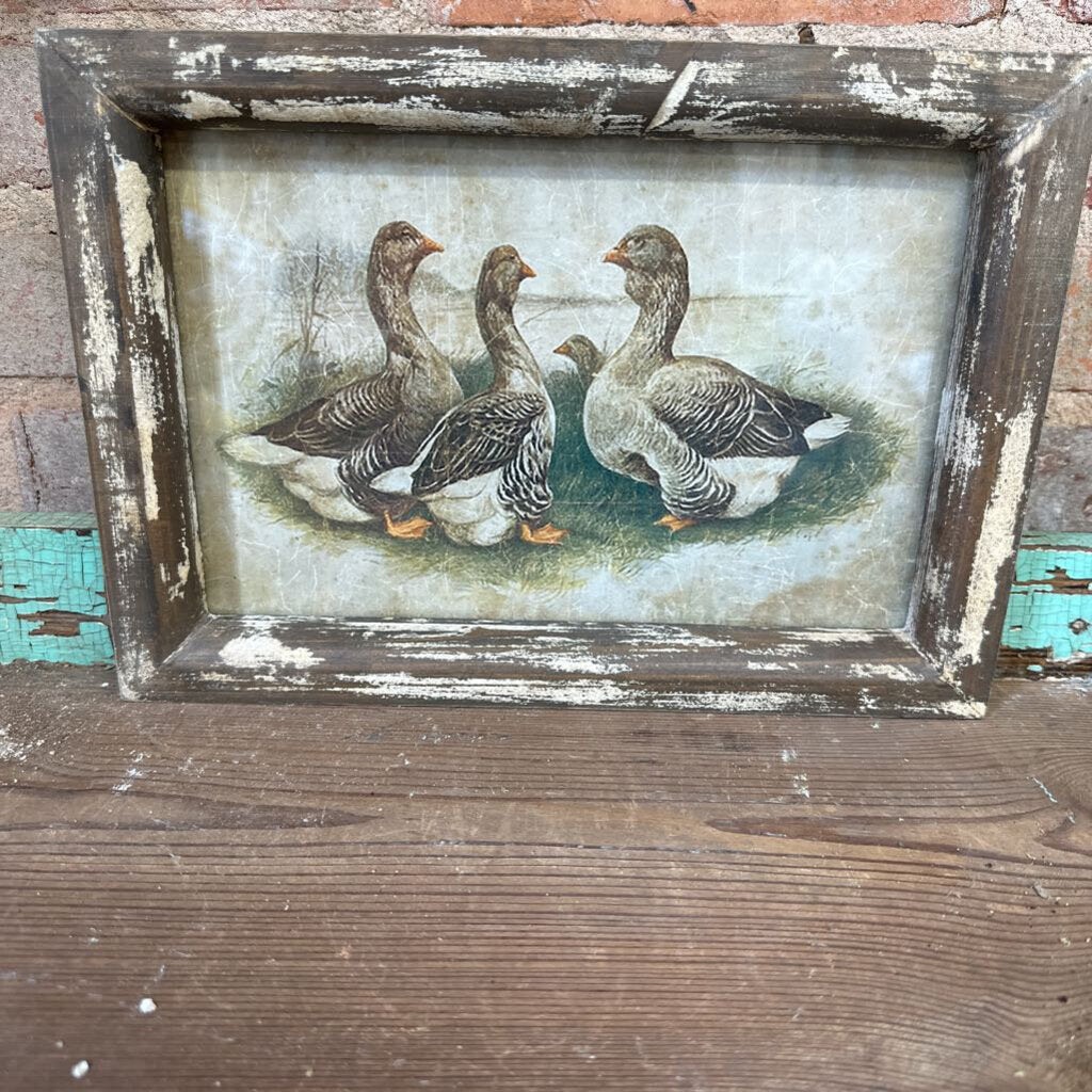 FRENCH DUCK PRINT