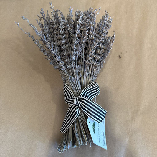 DRIED LAVENDER BUNDLE